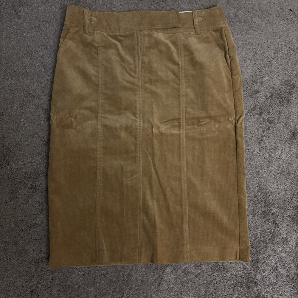 Zara Basics Skirt